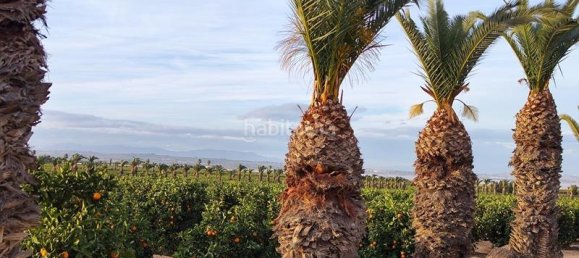 2 Schlafzimmer Bungalow in Torrevieja, Spain, Nr. 156102 38