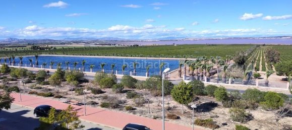 2 Schlafzimmer Bungalow in Torrevieja, Spain, Nr. 156102 37