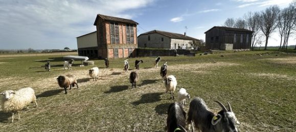 4 bedrooms House in Marmande, France No. 315857 16