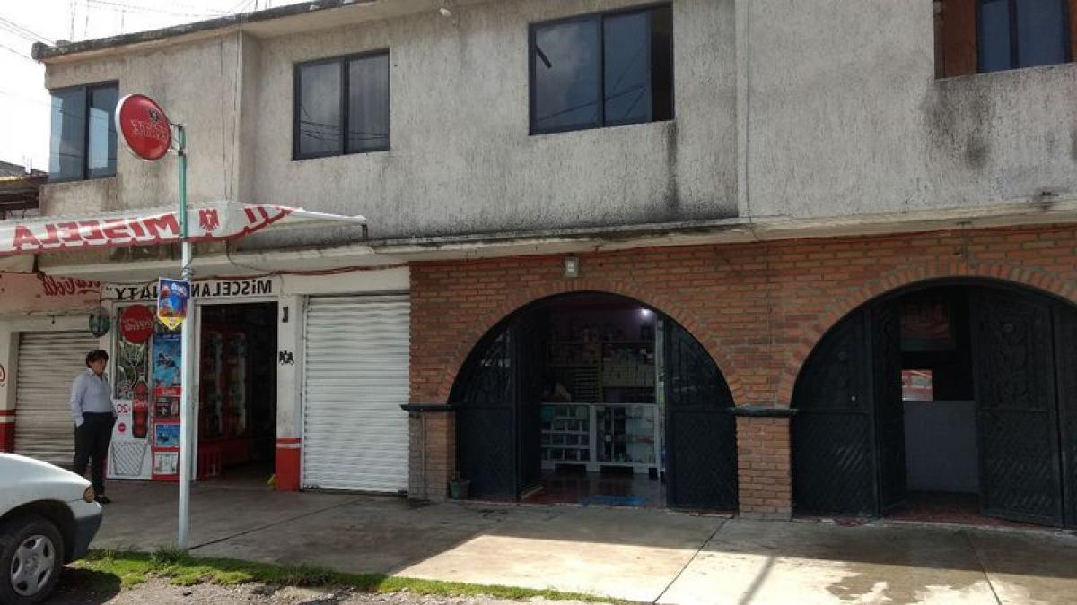 400m² Building in Mexico No. 200281