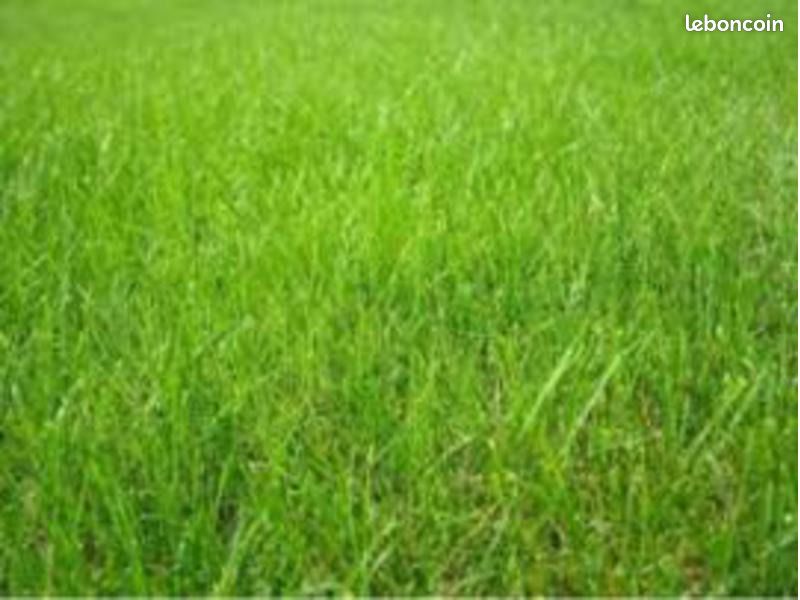 351m² Land in Geveze, France No. 111411