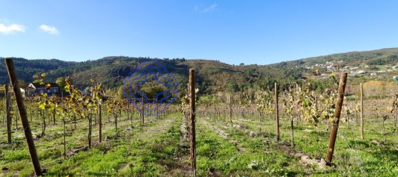 Земельный участок 16635м² в Гове, Португалия № 32755 8