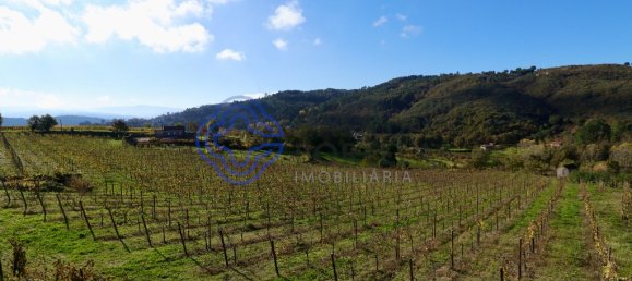 Земельный участок 16635м² в Гове, Португалия № 32755 18