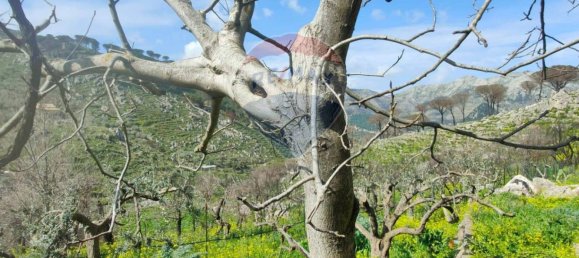 Villa de 3 dormitorios en Monreale, Italy No. 285495 30