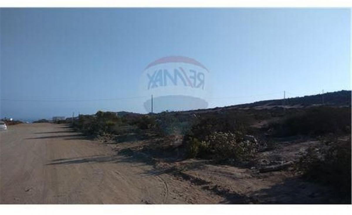  Land in Coquimbo, Chile No. 1058