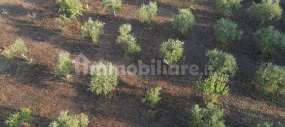 11 Schlafzimmer Haus in Noto, Italy, Nr. 45993 16