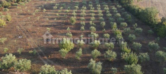 11 Schlafzimmer Haus in Noto, Italy, Nr. 45993 3