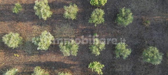 11 Schlafzimmer Haus in Noto, Italy, Nr. 45993 17