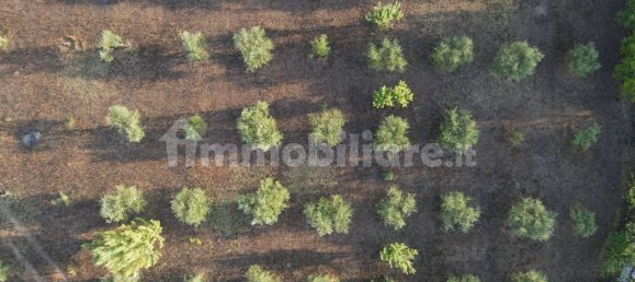 11 Schlafzimmer Haus in Noto, Italy, Nr. 45993 18