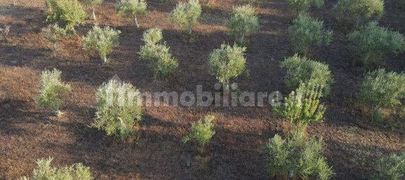 11 Schlafzimmer Haus in Noto, Italy, Nr. 45993 15