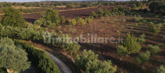 11 Schlafzimmer Haus in Noto, Italy, Nr. 45993 14
