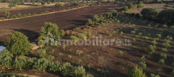 11 Schlafzimmer Haus in Noto, Italy, Nr. 45993 2