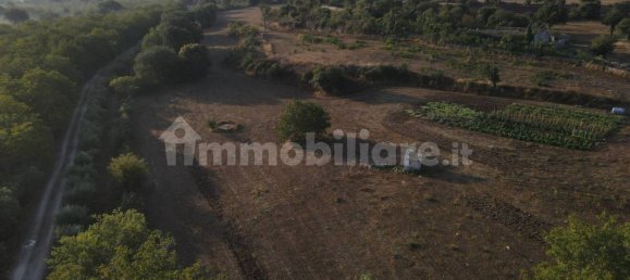 11 Schlafzimmer Haus in Noto, Italy, Nr. 45993 4