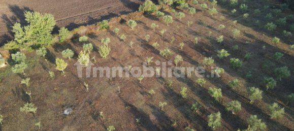 11 Schlafzimmer Haus in Noto, Italy, Nr. 45993 19