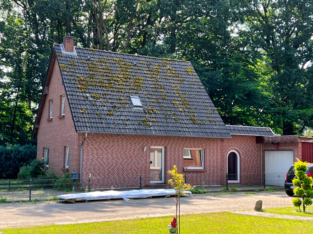 5-Zimmer Haus in Emsland, Germany, Nr. 125134