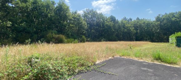  قطعة أرض في Lege-Cap-Ferret, France رقم 99161 3