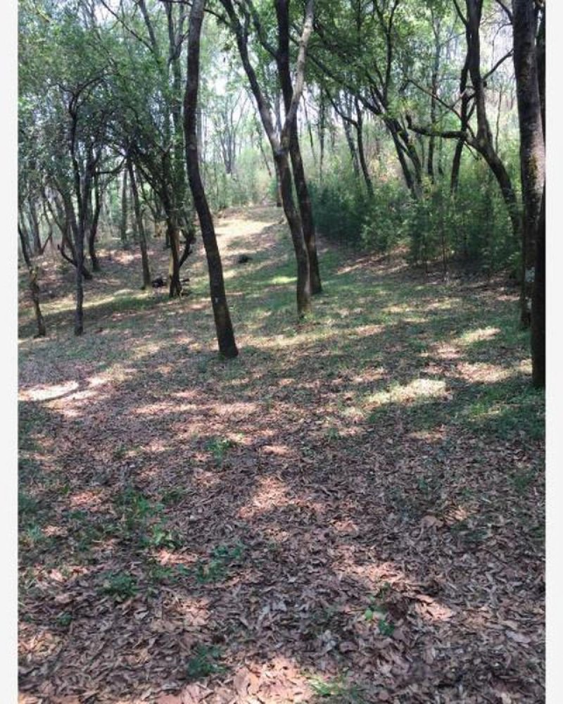 Terreno en Mexico No. 203075