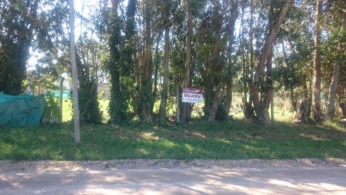 Grundstück in Mar del Plata, Argentina, Nr. 114750