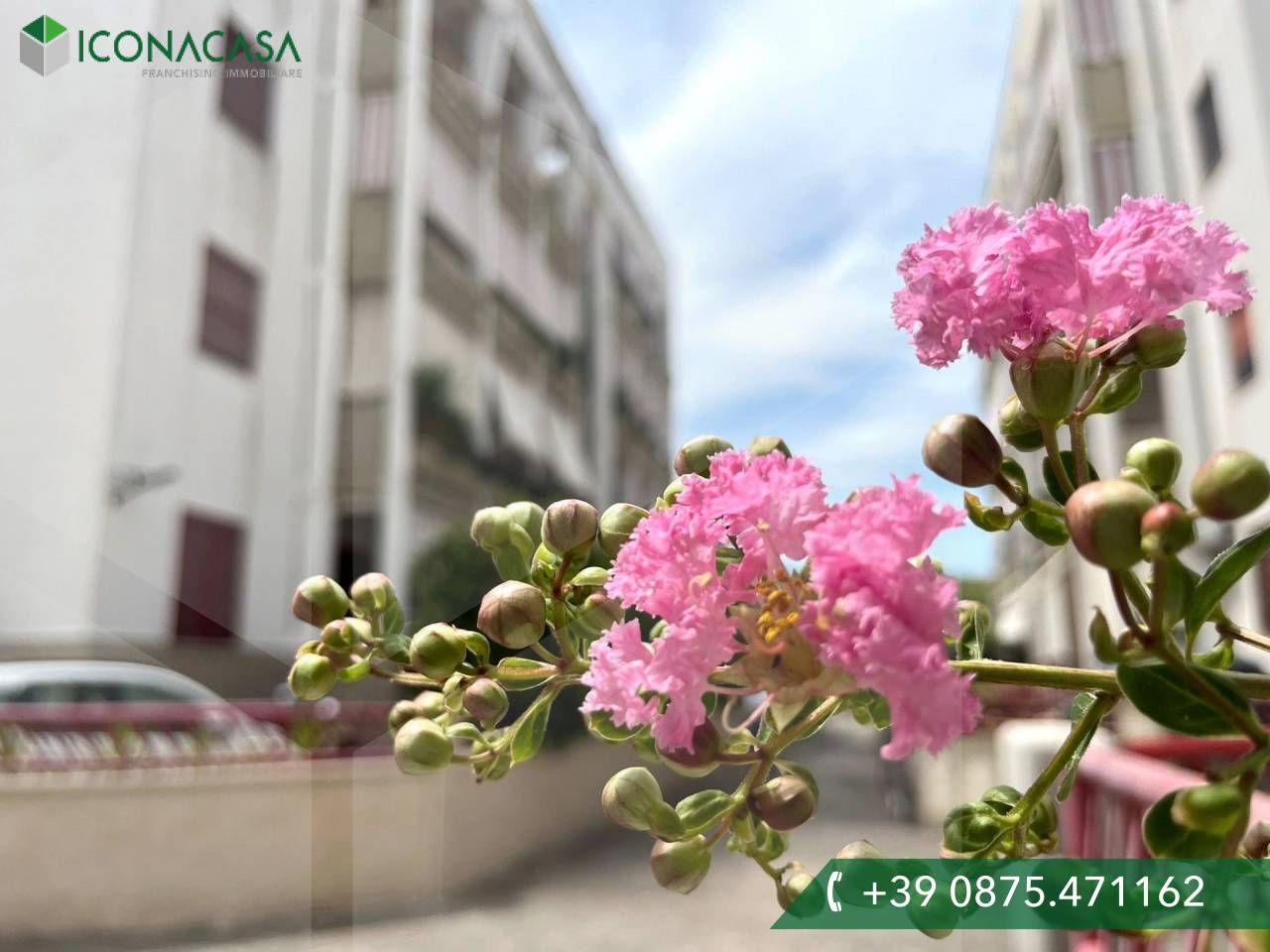 3 rooms Apartment in Campomarino, Italy No. 21698