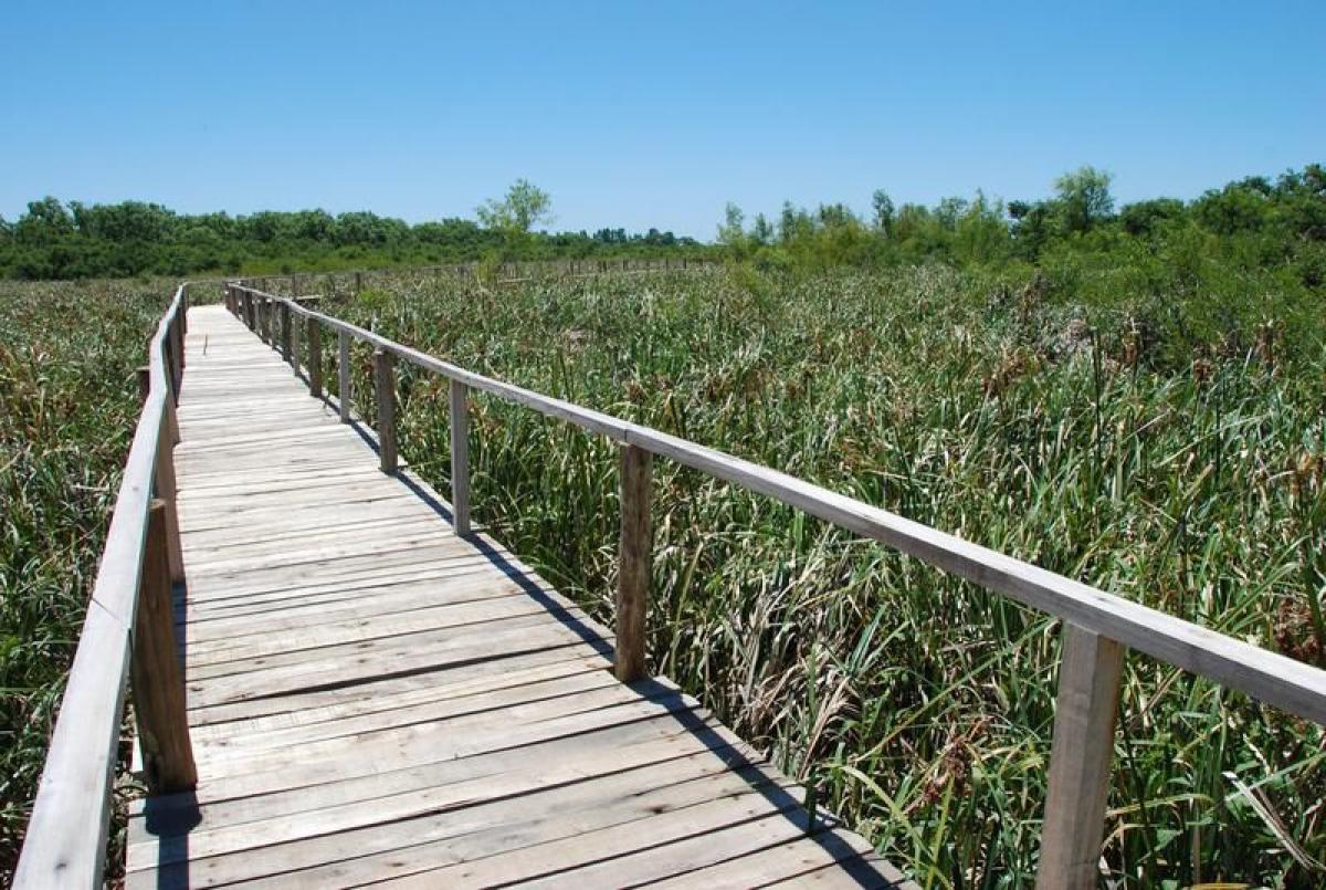  Land in Tigre, Argentina No. 112920