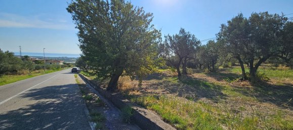 2550m² Land in Davoli, Italy No. 132181 9