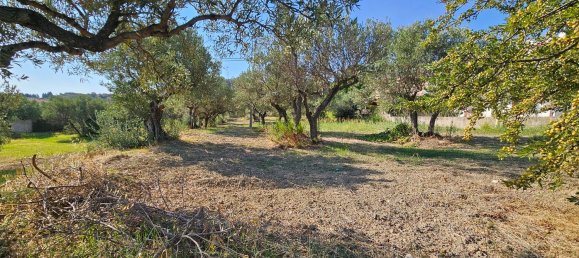 2550m² Land in Davoli, Italy No. 132181 6