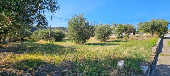2550m² Land in Davoli, Italy No. 132181 4