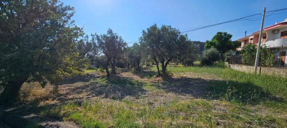 2550m² Land in Davoli, Italy No. 132181 2