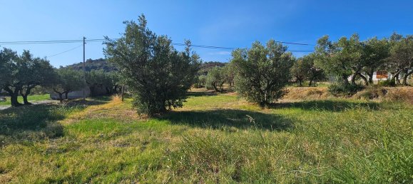 2550m² Land in Davoli, Italy No. 132181 5