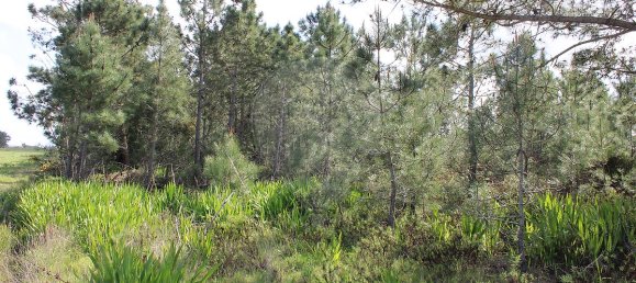  قطعة أرض في Rogil, Portugal 43240متر مربع رقم 34820 2