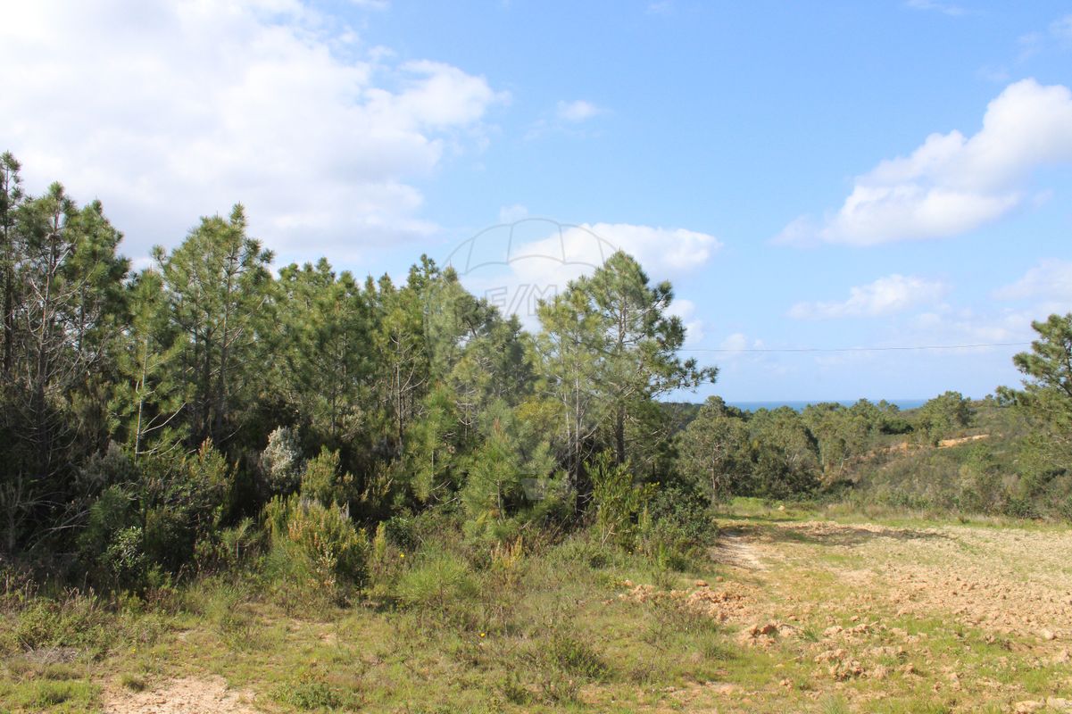  قطعة أرض في Rogil, Portugal 43240متر مربع رقم 34820
