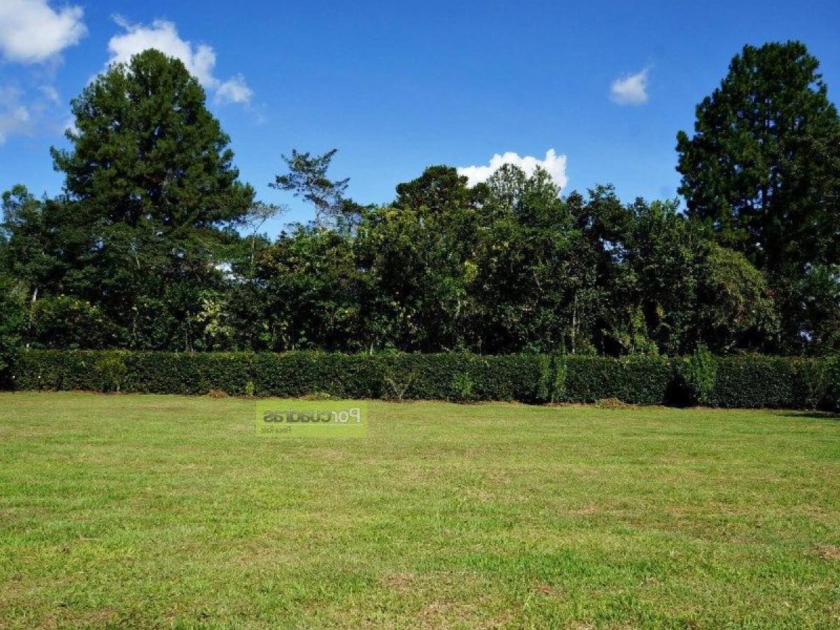  قطعة أرض في Antioquia, Colombia رقم 732