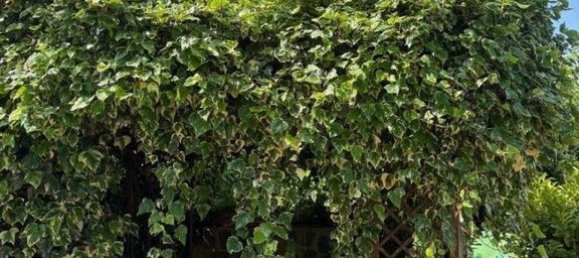 4 bedrooms Villa in Bolsena, Italy No. 116102 11