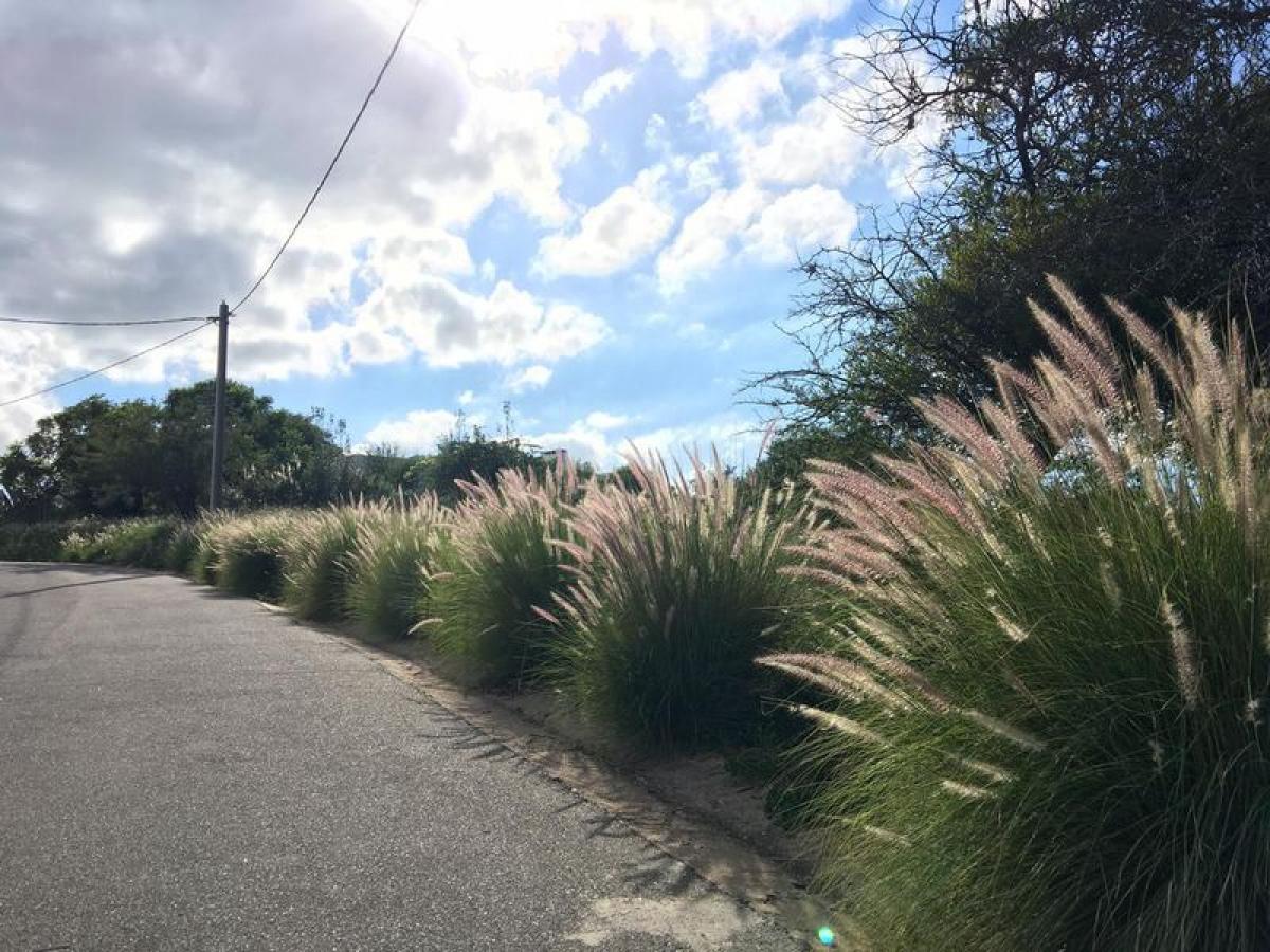  Land in Cordoba, Argentina No. 44737