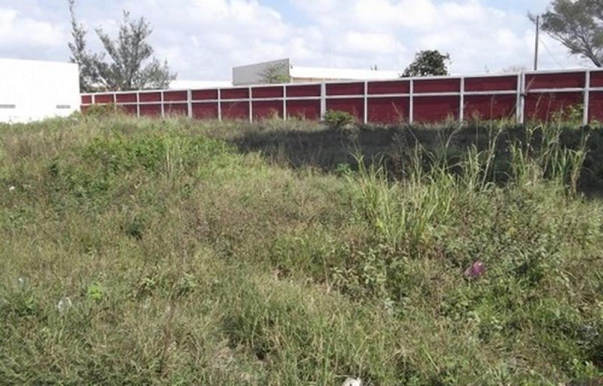 Земельный участок в Веракрус, Мексика № 207168