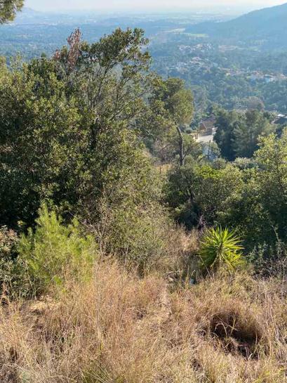  قطعة أرض في Santa Susanna, Spain 615متر مربع رقم 186157