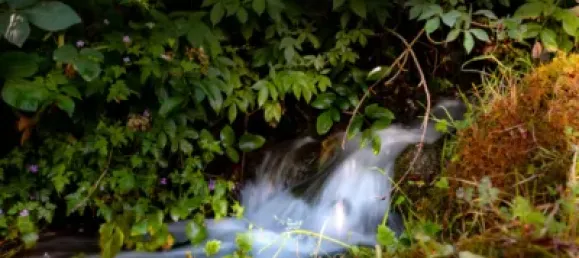 3 غرف نوم منزل في Girona, Spain رقم 173230 12