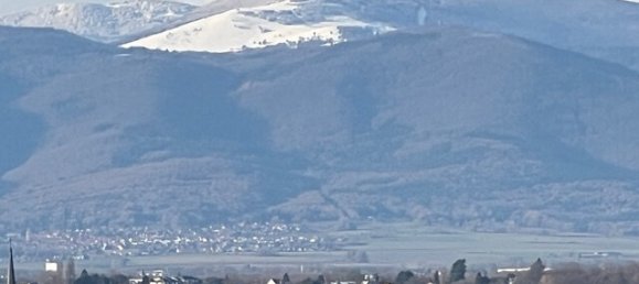 5 chambres Maison à Mulhouse, France No. 82077 31