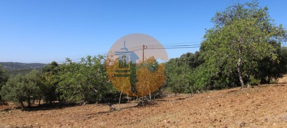 Grundstück in Sao Bras de Alportel, Portugal 6946m², Nr. 49496 8