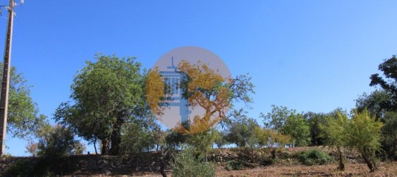 Grundstück in Sao Bras de Alportel, Portugal 6946m², Nr. 49496 18