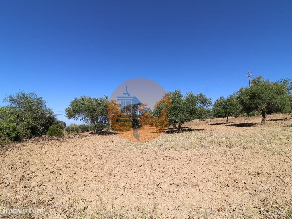 Grundstück in Sao Bras de Alportel, Portugal 6946m², Nr. 49496