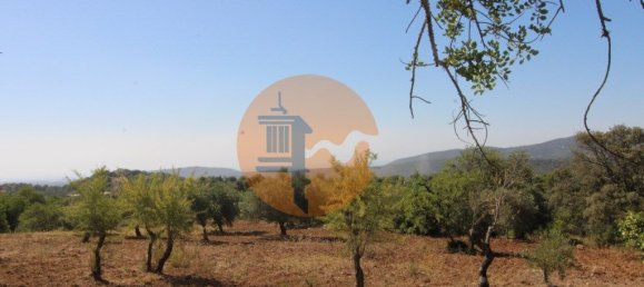 Grundstück in Sao Bras de Alportel, Portugal 6946m², Nr. 49496 19