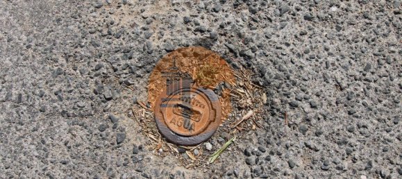 Grundstück in Sao Bras de Alportel, Portugal 6946m², Nr. 49496 30