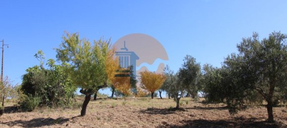 Grundstück in Sao Bras de Alportel, Portugal 6946m², Nr. 49496 21