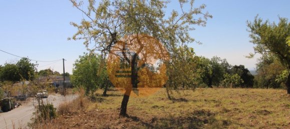 Grundstück in Sao Bras de Alportel, Portugal 6946m², Nr. 49496 24