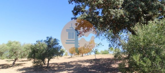 Grundstück in Sao Bras de Alportel, Portugal 6946m², Nr. 49496 7