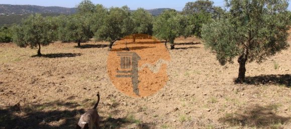 Grundstück in Sao Bras de Alportel, Portugal 6946m², Nr. 49496 22