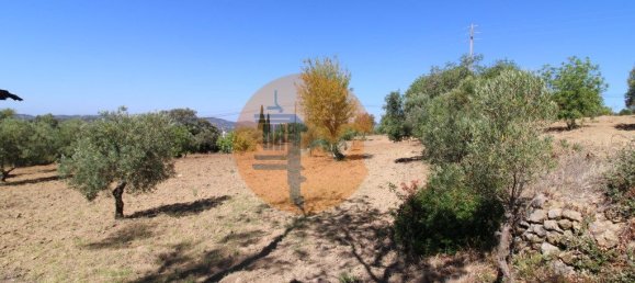 Grundstück in Sao Bras de Alportel, Portugal 6946m², Nr. 49496 10