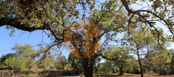 Grundstück in Sao Bras de Alportel, Portugal 6946m², Nr. 49496 17