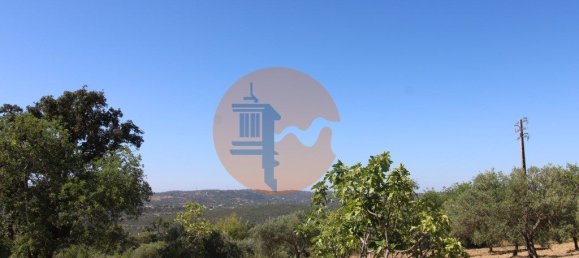 Grundstück in Sao Bras de Alportel, Portugal 6946m², Nr. 49496 3